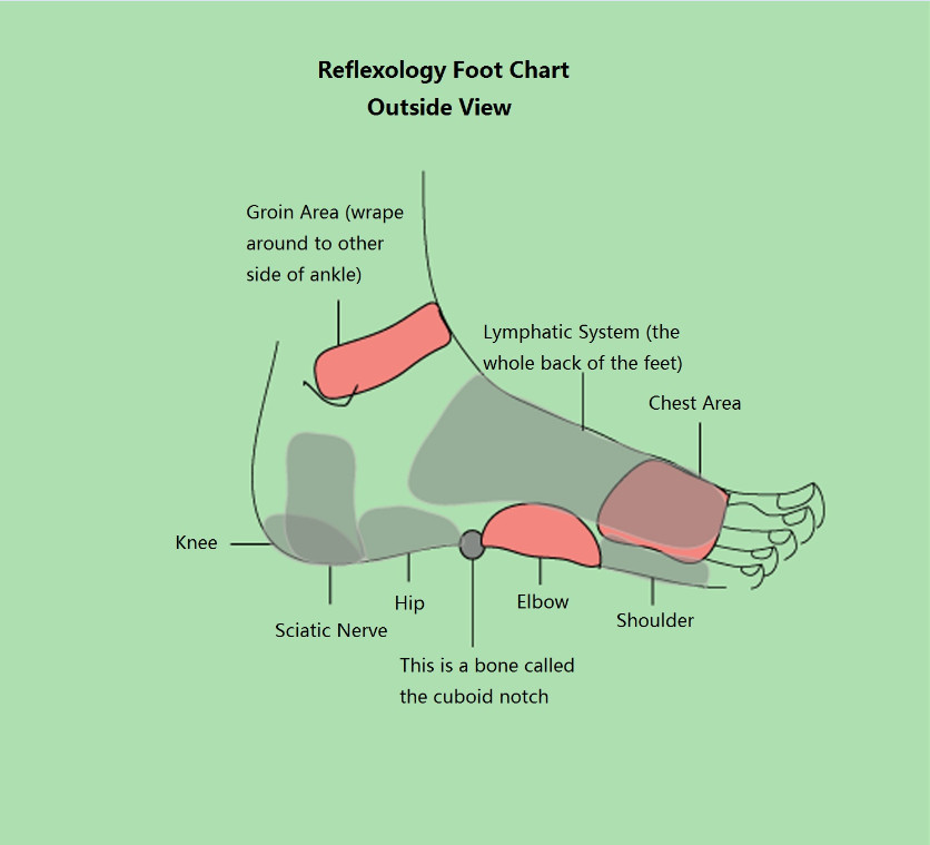 [DIAGRAM] Diagram Of Foot Pain Areas - MYDIAGRAM.ONLINE